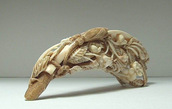 Blossoming Cherry Branch 010